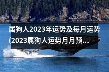 属狗人2025年运势及每月运势(2025属狗人运势月月预测)