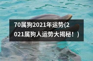 70属狗2025年运势(2025属狗人运势大揭秘！)