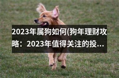 2025年属狗如何(狗年理财攻略：2025年值得关注的投资市场)