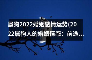 属狗2025婚姻感情运势(2025属狗人的婚姻情感：前途光明还是暗流涌动？)