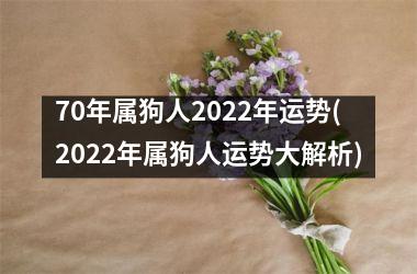 70年属狗人2022年运势(2022年属狗人运势大解析)