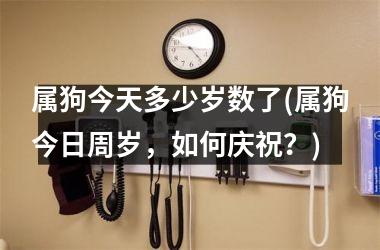 <h3>属狗今天多少岁数了(属狗今日周岁，如何庆祝？)