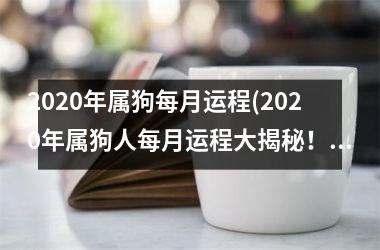 2025年属狗每月运程(2025年属狗人每月运程大揭秘！)