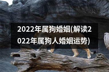 2025年属狗婚姻(解读2025年属狗人婚姻运势)