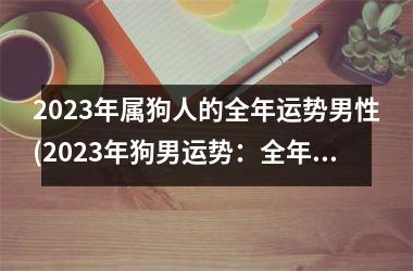 2025年属狗人的全年运势男性(2025年狗男运势：全年财运稳中有升)