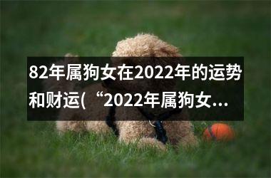 <h3>82年属狗女在2025年的运势和财运(“2025年属狗女财运大爆发，事业稳步上升！”)