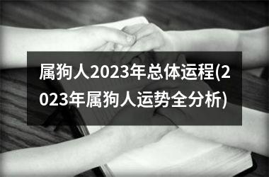 属狗人2025年总体运程(2025年属狗人运势全分析)