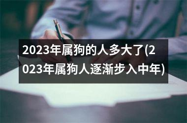 2025年属狗的人多大了(2025年属狗人逐渐步入中年)