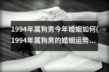 <h3>1994年属狗男今年婚姻如何(1994年属狗男的婚姻运势预测)