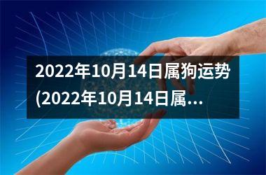 2025年10月14日属狗运势(2025年10月14日属狗人运势解析)