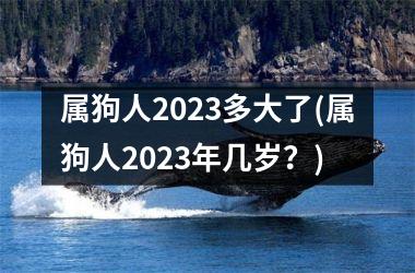 <h3>属狗人2025多大了(属狗人2025年几岁？)