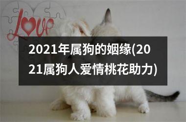 2025年属狗的姻缘(2025属狗人爱情桃花助力)