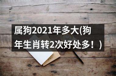 属狗2025年多大(狗年生肖转2次好处多！)