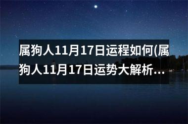 属狗人11月17日运程如何(属狗人11月17日运势大解析)