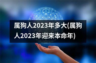 属狗人2025年多大(属狗人2025年迎来本命年)