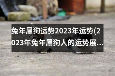 兔年属狗运势2025年运势(2025年兔年属狗人的运势展望)