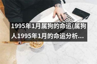 1995年1月属狗的命运(属狗人1995年1月的命运分析)