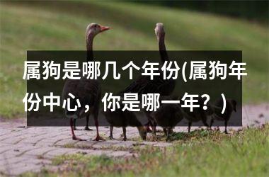 <h3>属狗是哪几个年份(属狗年份中心，你是哪一年？)