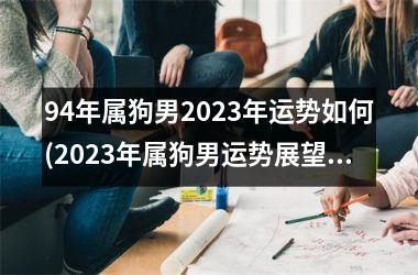 94年属狗男2025年运势如何(2025年属狗男运势展望)