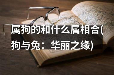 属狗的和什么属相合(狗与兔：华丽之缘)