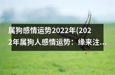 属狗感情运势2025年(2025年属狗人感情运势：缘来注定，爱情暗示。)