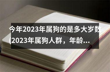 今年2025年属狗的是多大岁数(2025年属狗人群，年龄分布如何？)