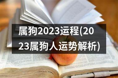 属狗2025运程(2025属狗人运势解析)