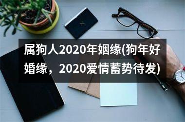 属狗人2025年姻缘(狗年好婚缘，2025爱情蓄势待发)