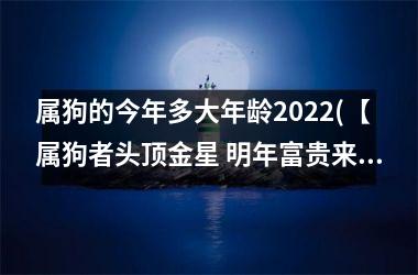 属狗的今年多大年龄2025(【属狗者头顶金星 明年富贵来相约】)