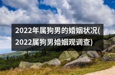 2025年属狗男的婚姻状况(2025属狗男婚姻观调查)