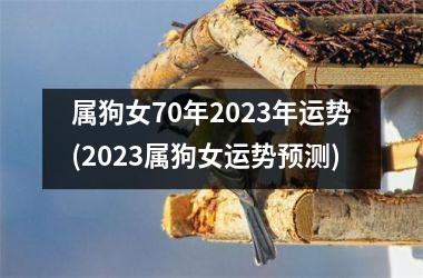 属狗女70年2025年运势(2025属狗女运势预测)