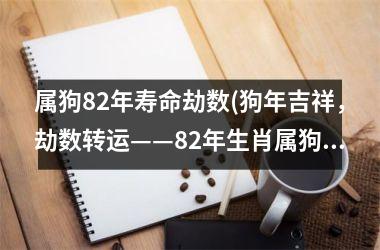 属狗82年寿命劫数(狗年吉祥，劫数转运——82年生肖属狗人的新生)