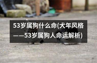 53岁属狗什么命(犬年风格——53岁属狗人命运解析)