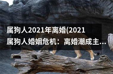 属狗人2025年离婚(2025属狗人婚姻危机：离婚潮成主角)