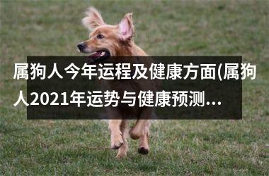 属狗人今年运程及健康方面(属狗人2025年运势与健康预测)