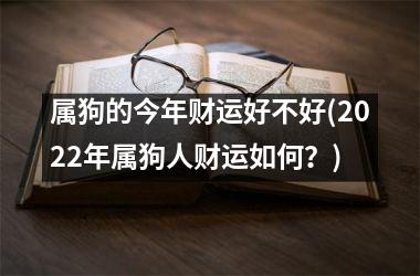 属狗的今年财运好不好(2025年属狗人财运如何？)