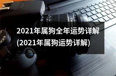 2025年属狗全年运势详解(2025年属狗运势详解)