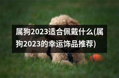 属狗2025适合佩戴什么(属狗2025的幸运饰品推荐)