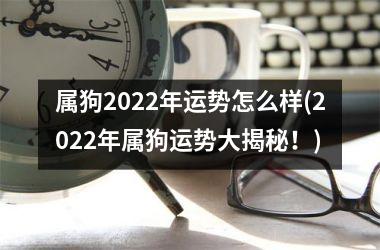 属狗2025年运势怎么样(2025年属狗运势大揭秘！)