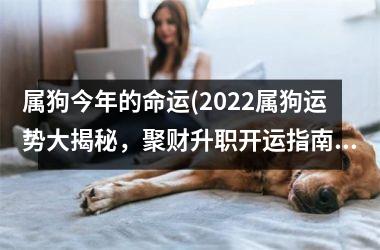 属狗今年的命运(2025属狗运势大揭秘，聚财升职开运指南！)