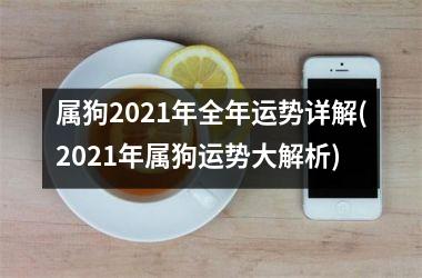 属狗2025年全年运势详解(2025年属狗运势大解析)