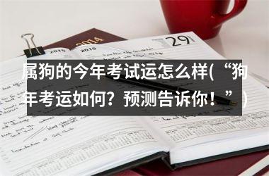 属狗的今年考试运怎么样(“狗年考运如何？预测告诉你！”)