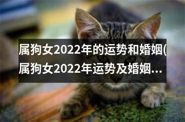 <h3>属狗女2025年的运势和婚姻(属狗女2025年运势及婚姻预测)