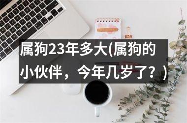 属狗23年多大(属狗的小伙伴，今年几岁了？)