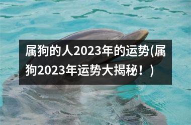 属狗的人2025年的运势(属狗2025年运势大揭秘！)