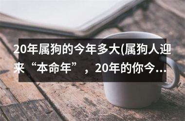 20年属狗的今年多大(属狗人迎来“本命年”，20年的你今年几岁？（29字）)