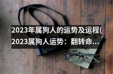 2025年属狗人的运势及运程(2025属狗人运势：翻转命运，大展宏图)