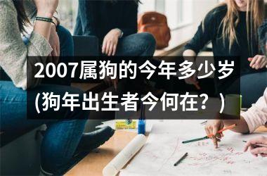 2007属狗的今年多少岁(狗年出生者今何在？)