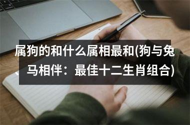 属狗的和什么属相和(狗与兔、马相伴：佳十二生肖组合)