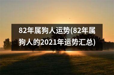 82年属狗人运势(82年属狗人的2025年运势汇总)